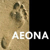 Aeona helps you take a step forwards on your journey to where you want to be